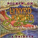Pickin on Lynyrd Skynyrd-Trib von Va-Pickin o...