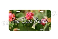 SAN LUIS POTOSI MEXICO PLACA DE ALUMINIO IMPRESA PARA VEICULO **