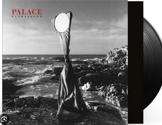 Palace - Ultrasound, Black Vinyl LP, New & Sealed (Fiction, 2024)