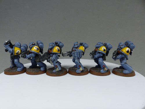 Warhammer 40k, wolves, marine, blood claw, griffe sanglante, tactical, firstborn - Bild 4 von 6