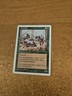 MAGIC THE GATHERING 5TH EDITION AUROCHS MODERATELY PLAYED