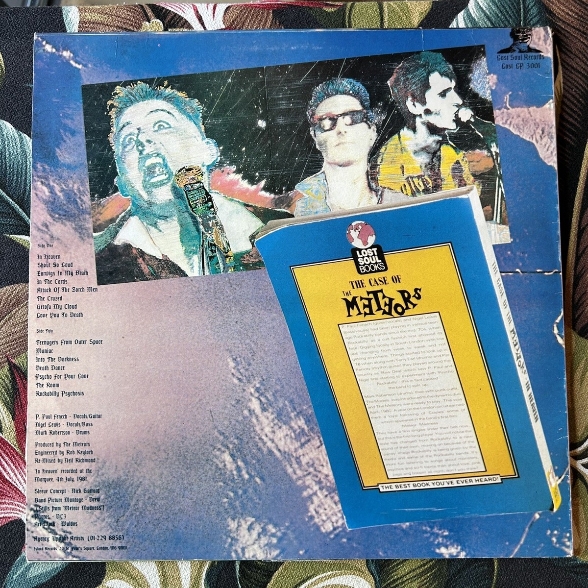 レコード The Meteors In Heaven LPレコード