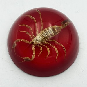 Vintage Scorpion Paperweight 3.5” Red Acrylic Paperweight Desk Office Decor