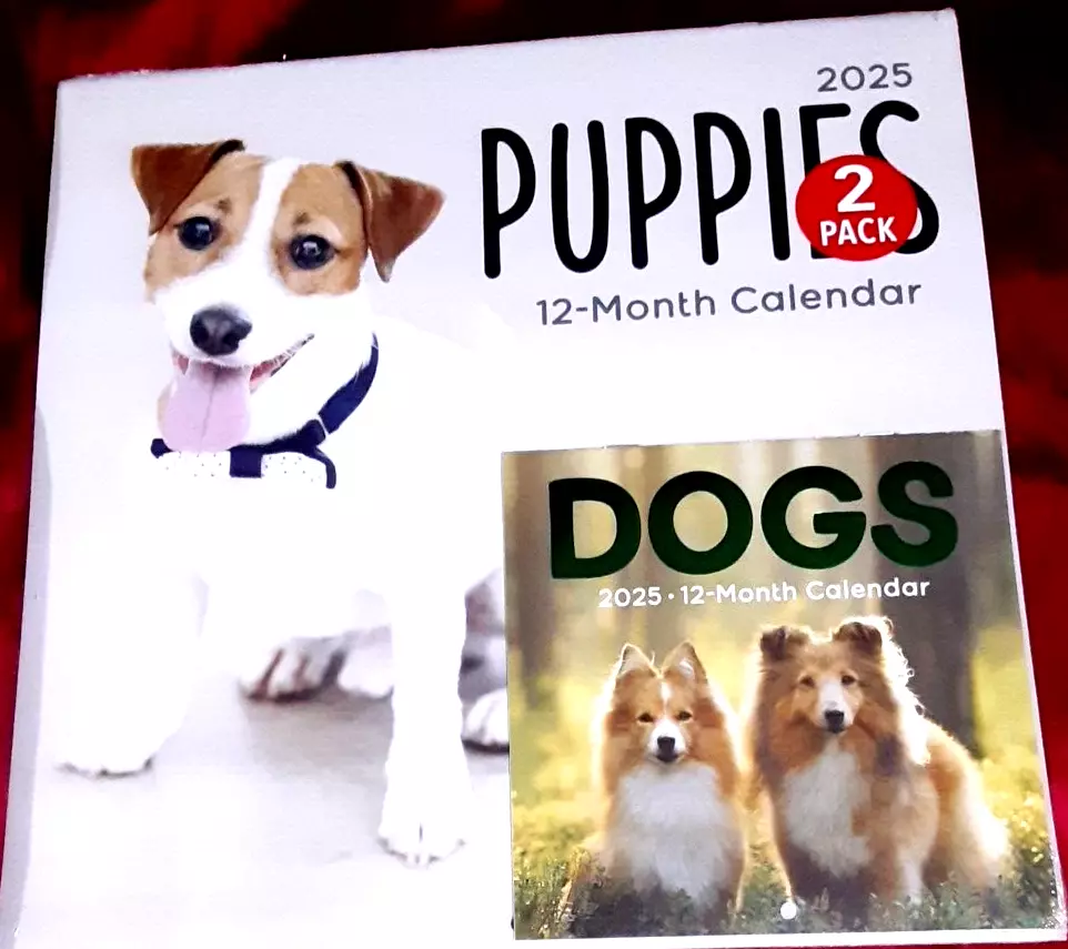 Mini Dior Advent Calendar 2025 Usa Gilbert L Cooks Mini Dior Advent Calendar 2025 Usa Gilbert L Cooks