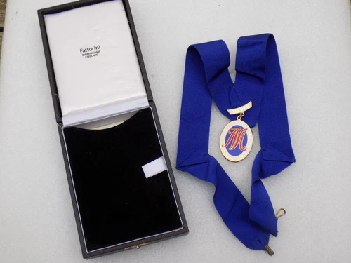 ROYAL COLLEGE OF NURSING AWARD OF MERIT Hospital Nurses Enamel Medal Badge Named