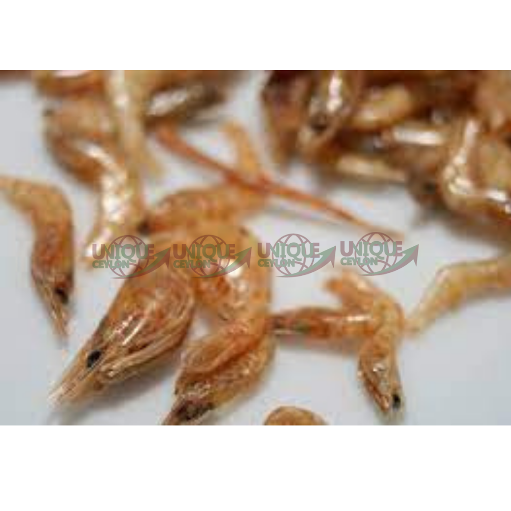 Baby Prawns/Shrimp Dried Salted Quality Fish 100 Ceylon Seafood 2 Oz