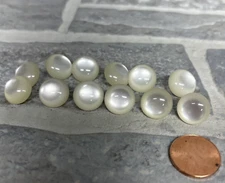 Lot of 12 Ivory Plastic Pearl Dome Pearlized Buttons Shank 13mm 1/2" Wedding