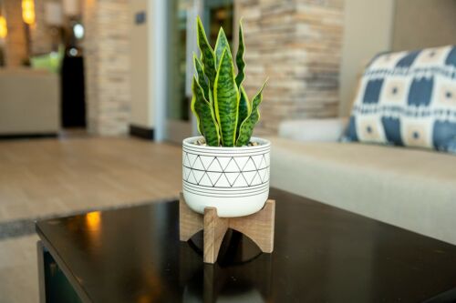 Flora Bunda 12" Artificial Snake Plant in 5" Handpainted Geometric Ceramic Pot - Picture 3 of 4
