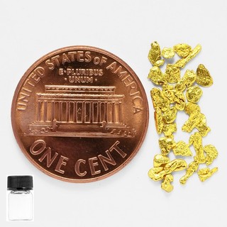0.5011 Gram Alaska Natural Gold Nuggets in Free Glass Bottle (#B81296 14)