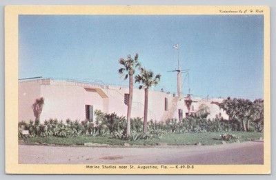 Vintage Marine Studios Postcard Marineland Florida Oceanarium St Augustine