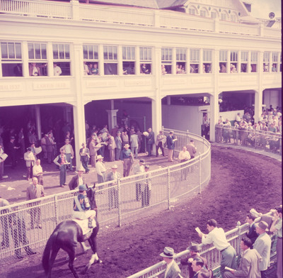 Kentucky Derby 1954 pic 1 Vintage Old Photo 8.5 x 11 Reprints