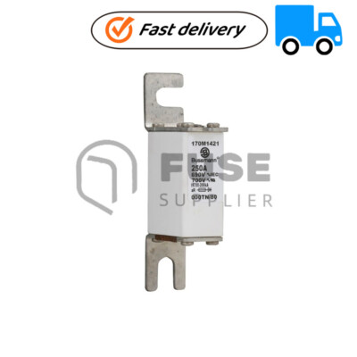 1PC New Eaton Bussmann 170M1421 250A 690V Power Module Fuse Fast ...