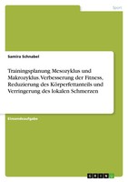 Samira Schnabel | Trainingsplanung Mesozyklus Und Makrozyklus. Verbesserung...