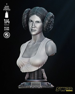 3D gedruckt 16K Fan Made Prinzessin Leia Portrait Büste Maßstab 1/4