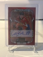 Niko Mikkola Red Rainbow Auto RA-NM 