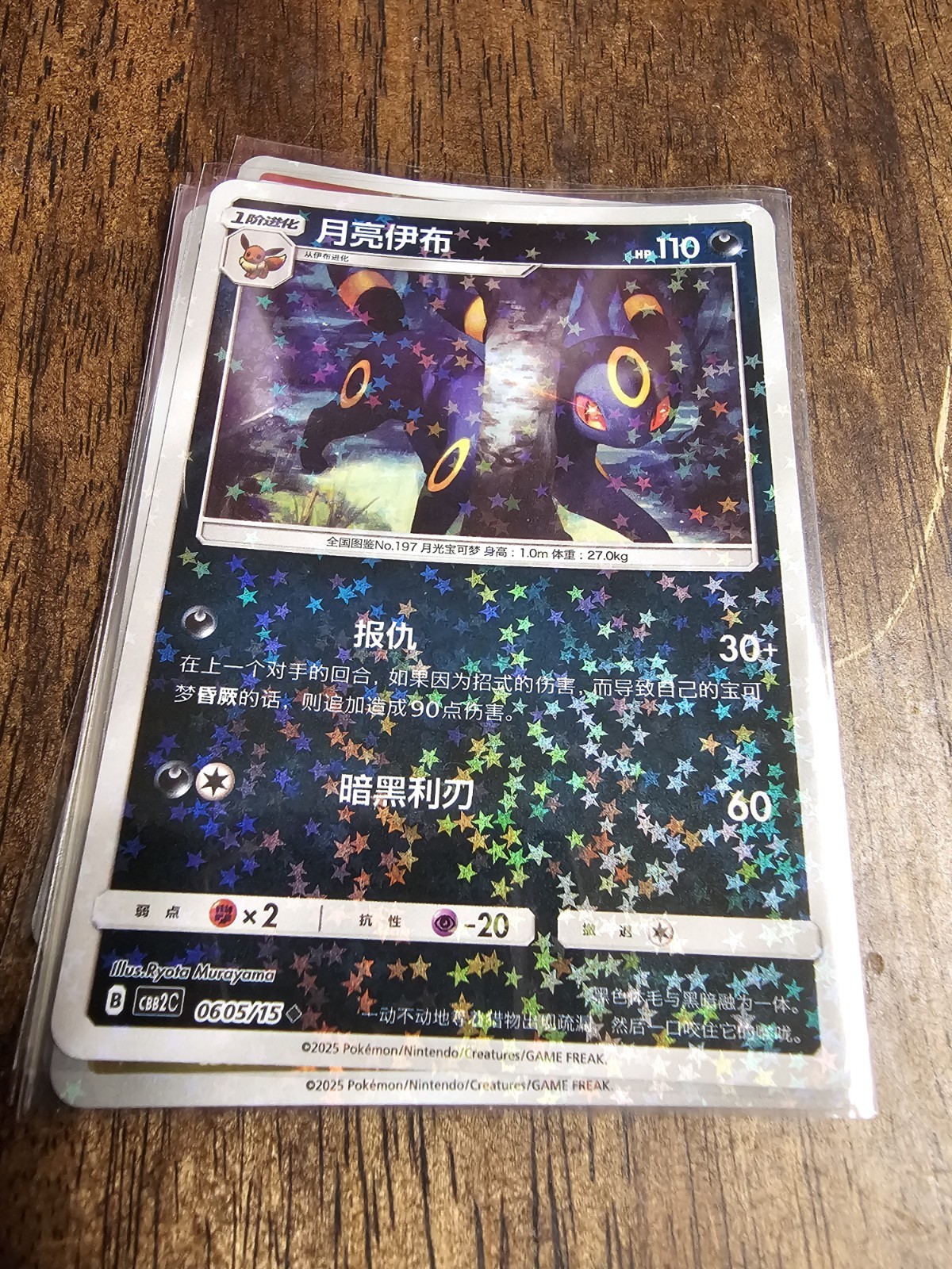 Picture 8 of 20