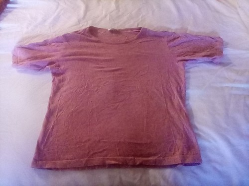 NINA WOMANS SHORT SLEEVE TOP SIZE XL - 第 1/1 張圖片