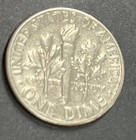 Picture 10 of 11