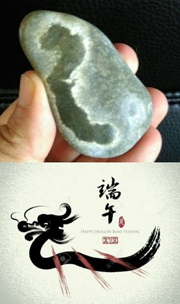 Suiseki Dragon