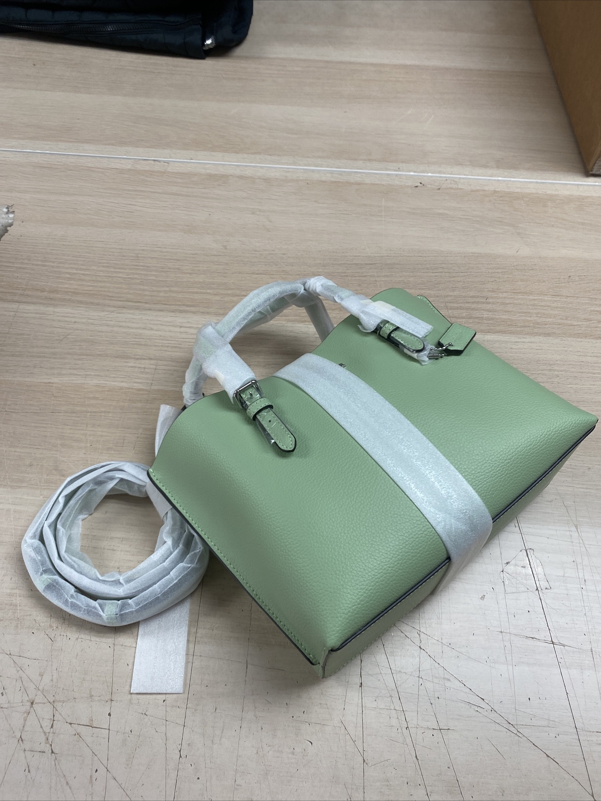 Coach C4084 Pale Pistachio Leather Mollie 25 Tote/ Crossbody Bag eBay
