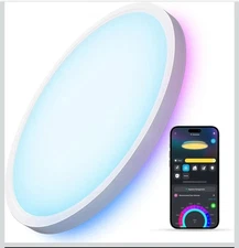 Ceiling Light Fixture, 2400LM Flush Mount Light Fixture, DIY Colors, Works with