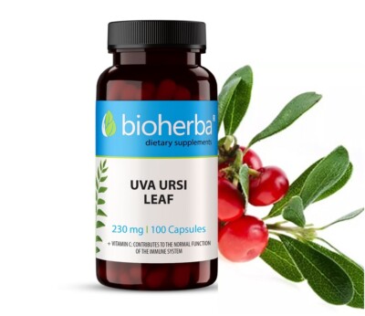 Uva Ursi Blatt Bärentraube 230mg mit Vitamin C Harnwegsunterstützung 100 Kapseln