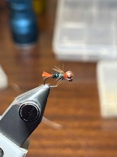 Six (6) Blow Torch euro nymph fly. Hook size 16, 3.2 mm tungsten bead 