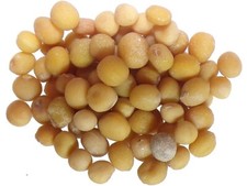 Moutarde Blanche Bio Moutarde - Sinapis Alba L. (Engrais Vert) SEM06