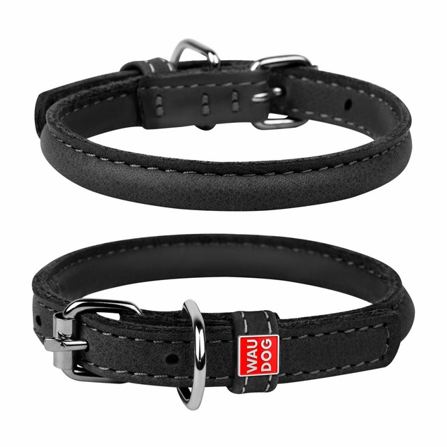 best dog collar for long hair