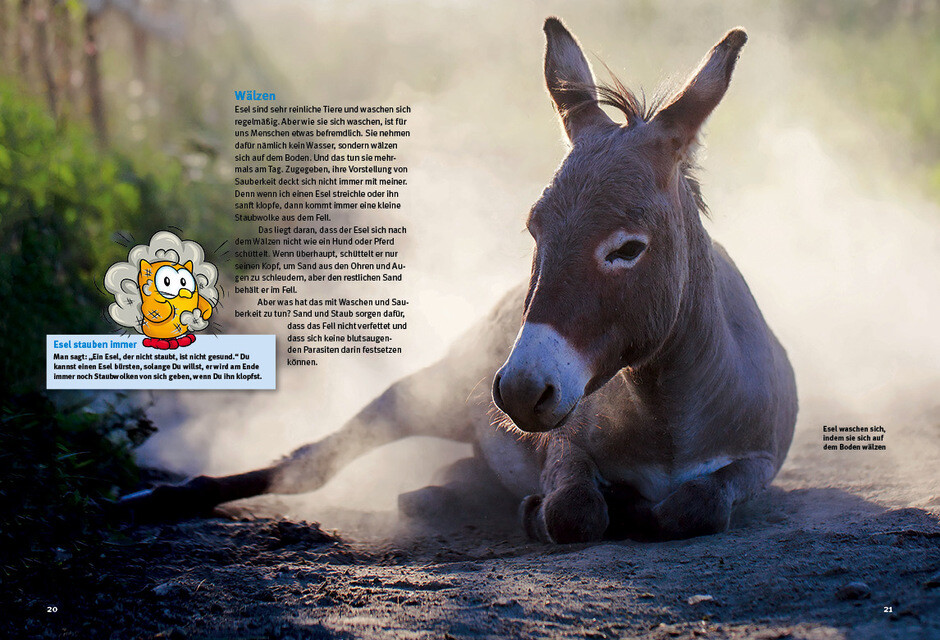 Thumbnail - Entdecke Die Esel Judith Schmidt
