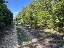 Land For Sale Arkanas $39 Down & $39 a Month Total Sale price $1,899