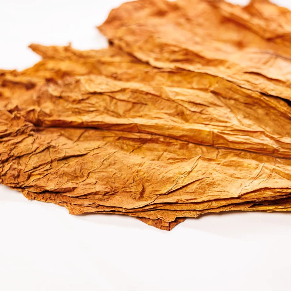 Rohe Burley-Tabakblätter der Klasse I - Premium - Bild 2 von 4