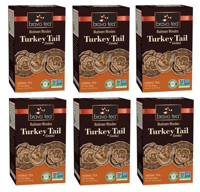 6 PACK Bravo Herbal Tea Mushroom Wonders Turkey Tail Coriolus IMMUNE NO GMO