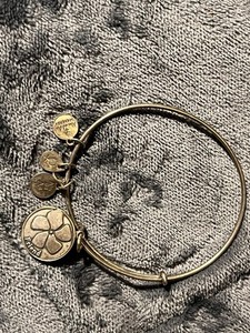 Alex and Ani Friend Charm Silver Bracelet