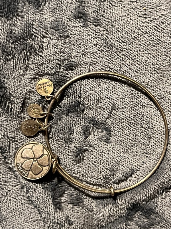 Alex and Ani Friend Charm Silver Bracelet