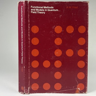 Functional Methods and Models in Quantum Field Theory Advanced Physics Hardcover