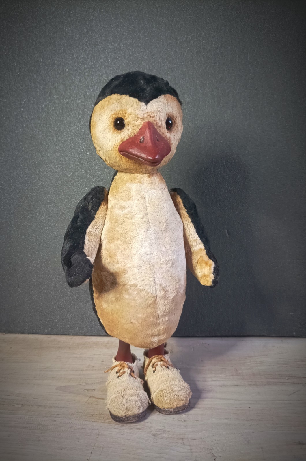 Penguin - teddy artist's work