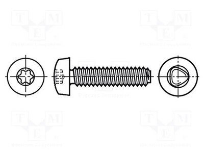 Stahl Zink TX06 Torx 2x3 Kopf: Zylinder Schraube für Metall