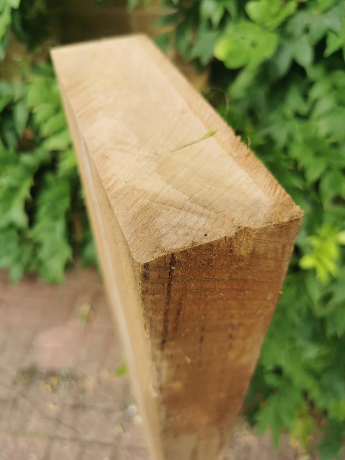 BURMESE TEAK Wood Plank 65mm x 200mm x 1200mm. 2 available. Sawn