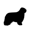 Polish Lowland Sheepdog Dog Brooch Badge Pin Scarf Fastener Gift in Black