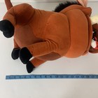 Foto 11 di 11