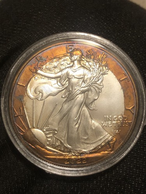 #ad #ad 2022 American Silver Eagle 1 Oz Rainbow Toning $160.00