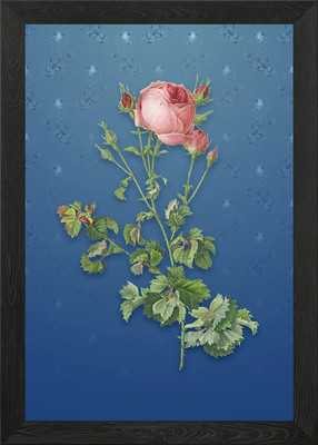 Gerahmtes Wandbild Sellerieblatt Kohlrose Poster Leinwanddruck Bild