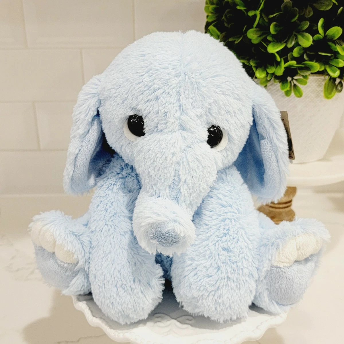 Lil cheap benny phant