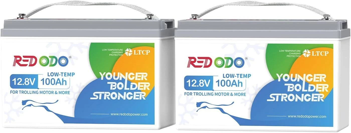2Pack 12V100Ah