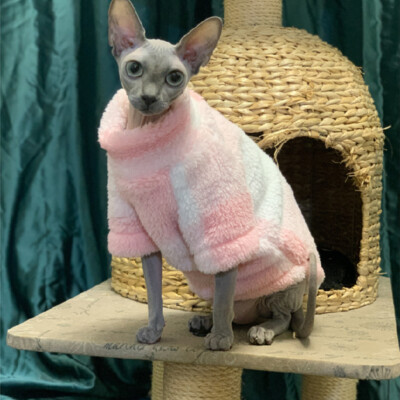 Sphynx Kitten Sphynx Jumper Thickened Sweater Warm Sphynx Cat