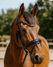 Black Rock Crystal Patent Bridle Comfort Cutback Headpiece Premium Leather