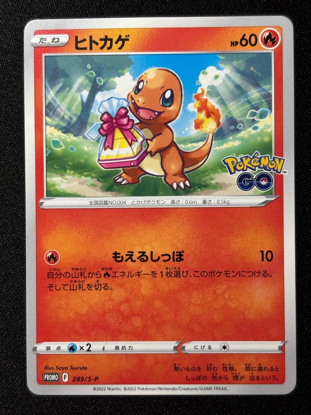 Charmander 289 Promo Sword Shield Pokemon Japanese NM/M