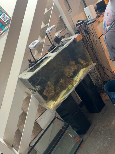 Aqueon 45 G Acrylic Aquarium Reef Tank