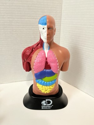 Discovery Channel Human Torso Model with Accessories   2020 Discovery Mindblown